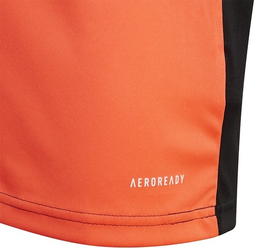 adidas Performance-Maillot de gardien Squadra 21-4