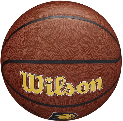 WILSON-Wilson Team Alliance Indiana Pacers Ball-4