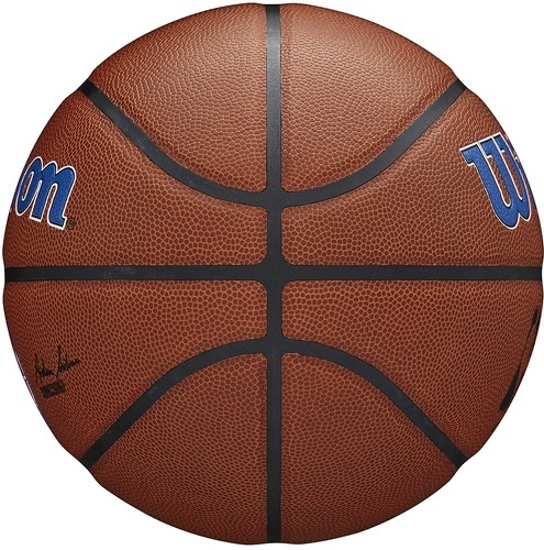 WILSON-Wilson Team Alliance Detroit Pistons Ball-3