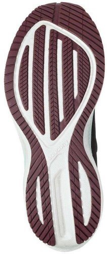 SAUCONY-Triumph 20 Runshield-1