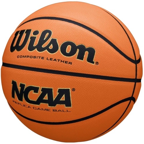 WILSON-Wilson NCAA Evo NXT Replica Game Ball-2