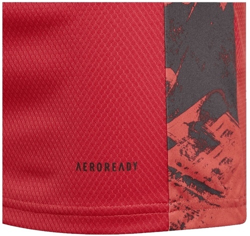 adidas Performance-Maillot Gardien de but Domicile Allemagne-4