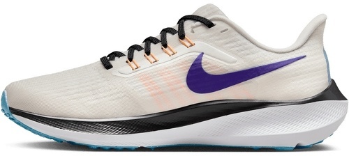 NIKE-Pegasus 39-1