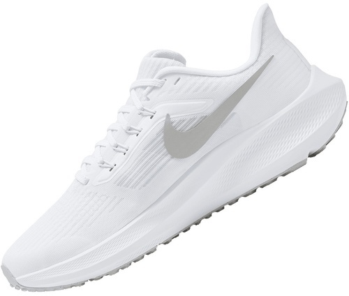 NIKE-Pegasus 39-2