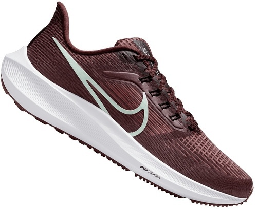 NIKE-Pegasus 39-3