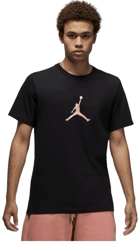 NIKE-T-Shirt Nike Jordan Sport ADN noir-0