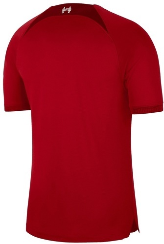 NIKE-Maillot Liverpool Fc Maillot Domicile Stadium 2022/2023-1