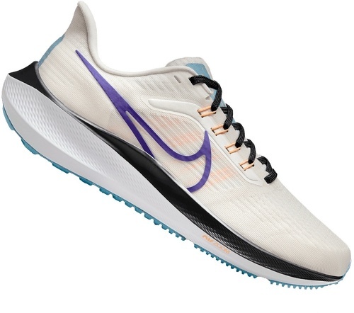 NIKE-Pegasus 39-2
