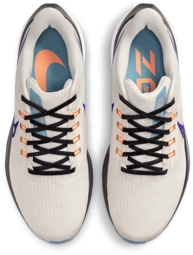 NIKE-Pegasus 39-3