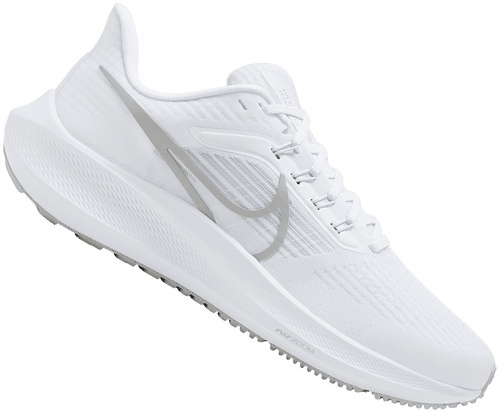 NIKE-Pegasus 39-1