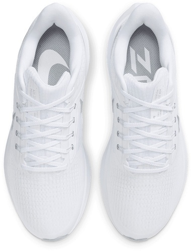 NIKE-Pegasus 39-3