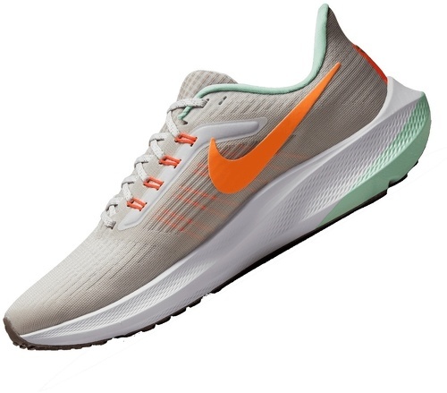 NIKE-Air Zoom Pegasus 39 Premium-1
