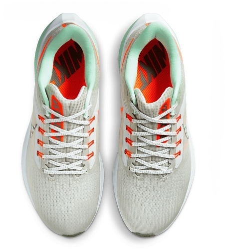 NIKE-Air Zoom Pegasus 39 Premium-2