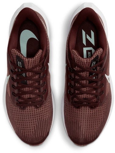 NIKE-Pegasus 39-4