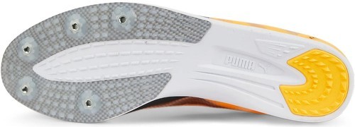 PUMA-EvoSpeed Mid-Distance 4-1