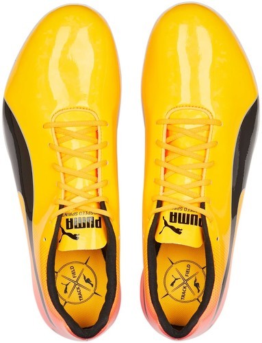 PUMA-evoSPEED Sprint 14-3