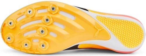PUMA-evoSPEED Sprint 14-1