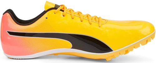 PUMA-evoSPEED Sprint 14-2