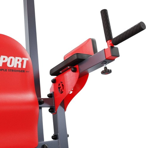 K-Sport GmbH-Chaise romaine avec barre de traction, barre de dips, pompe - KSSL012-1