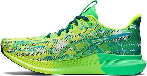 ASICS-Noosa Tri 14-1