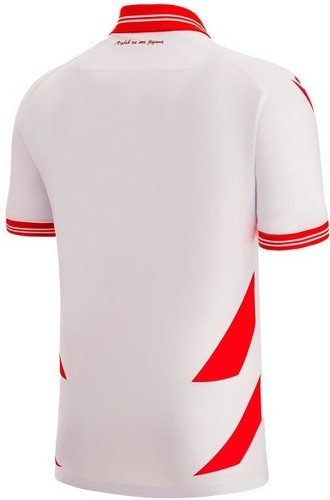 MACRON-Etoile rouge de Belgrade maillot third 2022-2023-1