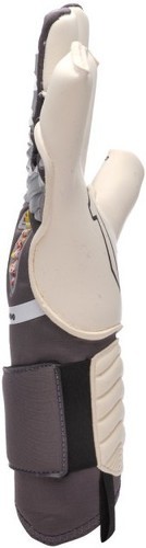Rinat-Rinat Aries Pro-1