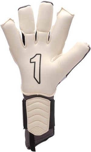 Rinat-Rinat Aries Pro-2