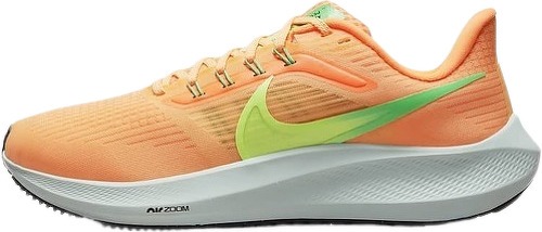 NIKE-Pegasus 39-1
