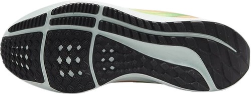 NIKE-Pegasus 39-2