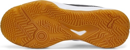 PUMA-Solarflash 2-4