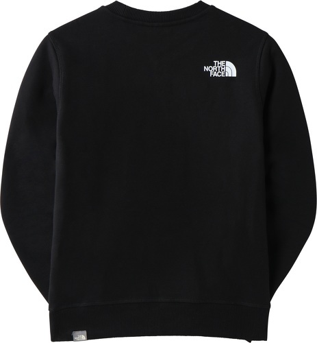 THE NORTH FACE-The North Face Teens Box Crew-1