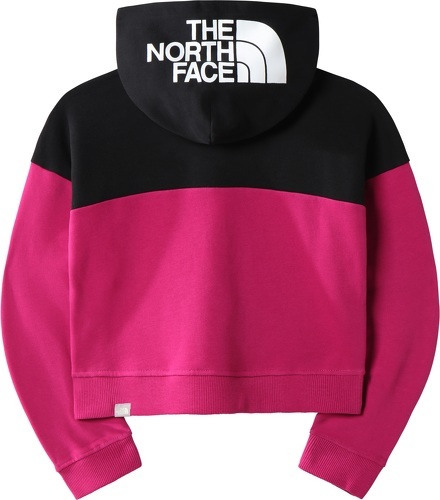 THE NORTH FACE-The North Face G Drew Peak Cropped P/O Hoodie-1