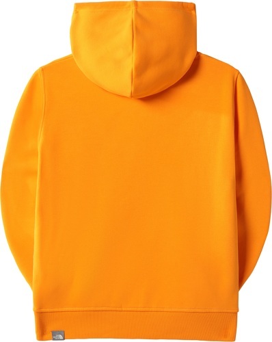 THE NORTH FACE-The North Face Teens Drew Peak P/O Hoodie-1