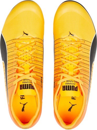 PUMA-EvoSpeed Tokyo Future Faster+ 2-3