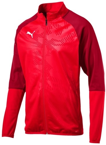 PUMA-Cup Training poly Core - Veste de foot-0