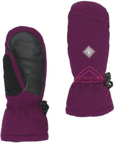 SPYDER-Spyder INSPIRE PrimaLoft Ski Moufle-2