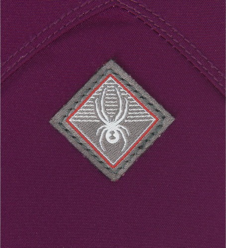 SPYDER-Spyder INSPIRE PrimaLoft Ski Moufle-1