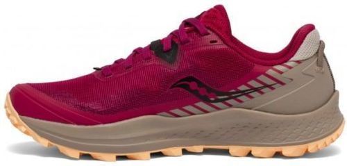 SAUCONY-Peregrine 11-1