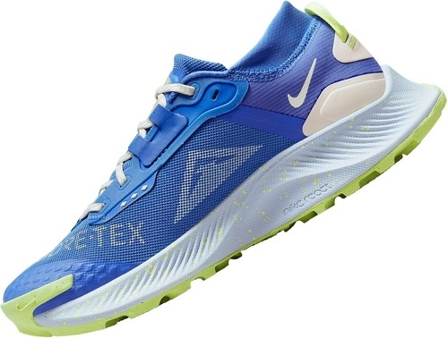 NIKE-Pegasus Trail III GTX-3
