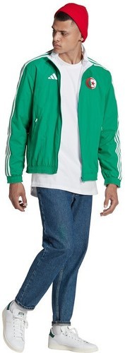 adidas Performance-Veste Algérie Anthem-3