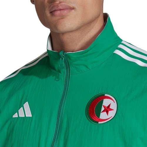 adidas Performance-Giacca Anthem Algeria-4