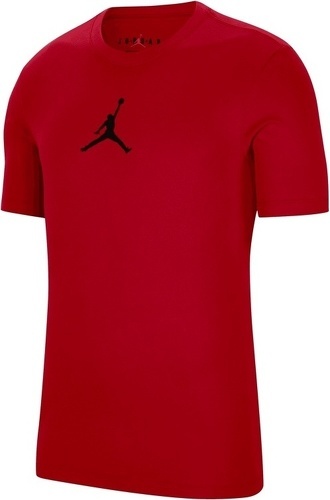 NIKE-Jordan Jumpman  hirt-1