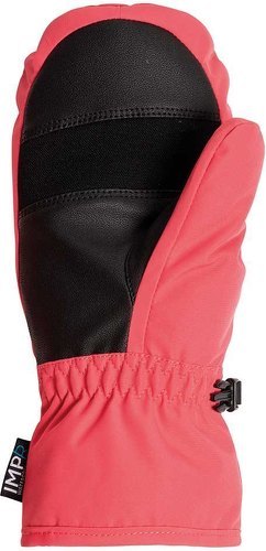 ROSSIGNOL-Rossignol Mitaines Roc Impr-1