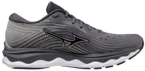 MIZUNO-Wave Sky 6-1