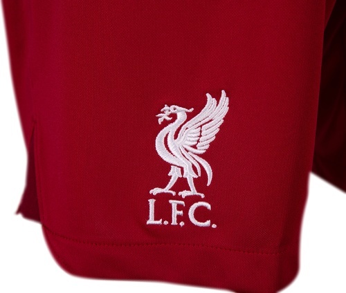 NIKE-Short Liverpool Fc Maillot Domicile Stadium 2022/2023-3
