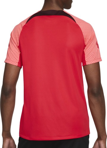 NIKE-Liverpool Nk Df Strk Ss Top-1