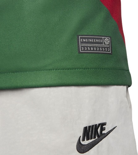 NIKE-Maillot Portugal Domicile 2022/2023 Rouge/Vert-4