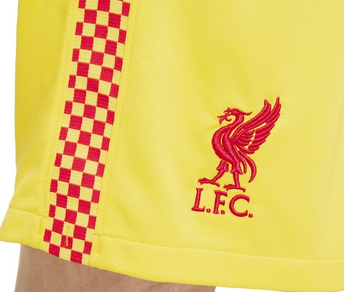 NIKE-Liverpool FC 2021/2022 Stadium Third S - Short de football-3