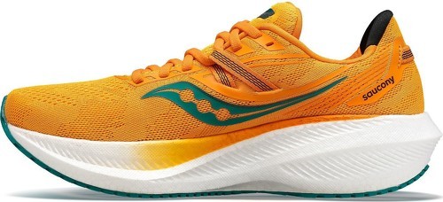 SAUCONY-Triumph 20-2