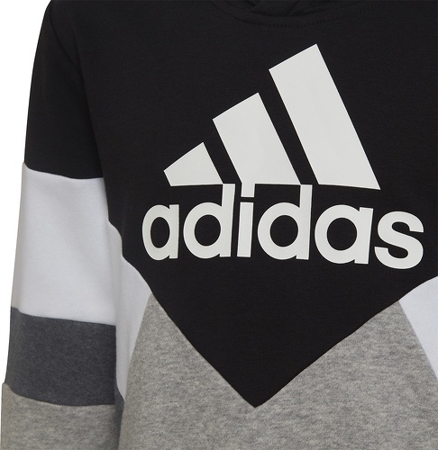 adidas Sportswear-Sweat-shirt à capuche Colorblock Fleece-2